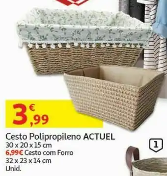 Cesto polipropileno actuel