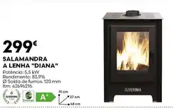 Bricomarché Salamandra a lenha "diana" promoção