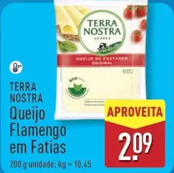 ALDI TERRA NOSTRA Queijo Flamengo em Fatias promoção