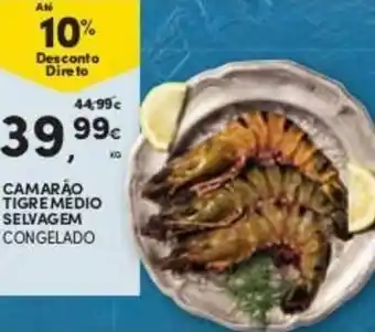 Camarão Tigre Médio Selvagem