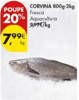 Pingo Doce Corvina 800g-2kg fresca aquacultura promoção