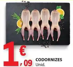 E.Leclerc Codornizes promoção