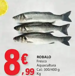 E.Leclerc Robalo promoção
