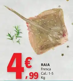 E.Leclerc Raia promoção