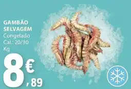 E.Leclerc Gambão selvagem promoção