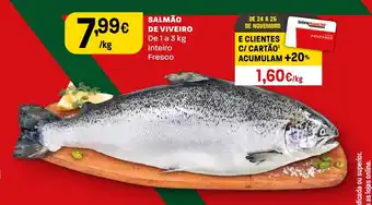 Salmão de viveiro