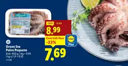 Lidl Ocean Sea Polvo Pequeno promoção