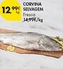 Pingo Doce Corvina selvagem promoção