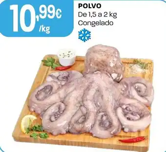 Polvo