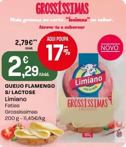 Intermarché Queijo flamengo s/ lactose limiano fatias promoção