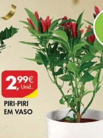 Pingo Doce Piri-Piri em Vaso promoção