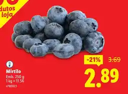 Lidl Mirtilo promoção