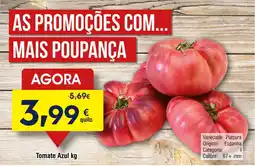 Froiz Tomate Azul promoção