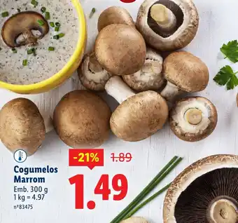 Lidl Cogumelos Marrom promoção