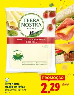 Lidl Terra Nostra Queijo em Fatias promoção