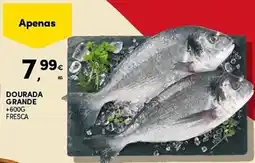 Continente Dourada grande +600g fresca promoção