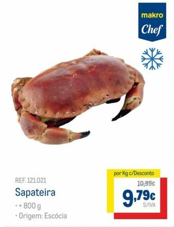 Sapateira 800g