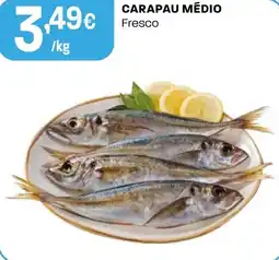 Intermarché Carapau médio fresco promoção