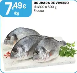 Intermarché Dourada de viveiro promoção