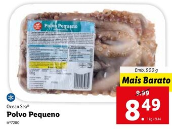 Lidl Ocean Sea Polvo Pequeno 900g promoção