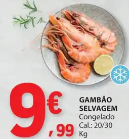 E.Leclerc Gambão selvagem congelado promoção