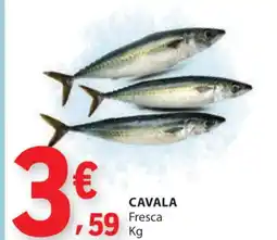 E.Leclerc Cavala fresca promoção