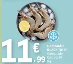 E.Leclerc Camarão black tiger promoção