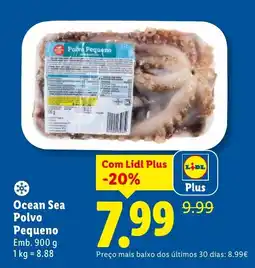 Lidl Ocean Sea Polvo Pequeno promoção