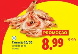 Lidl Camarão 20/30 promoção