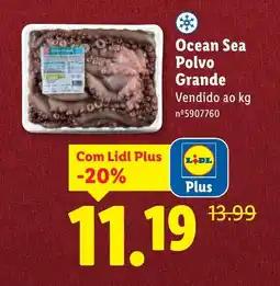 Lidl Ocean Sea Polvo Grande promoção