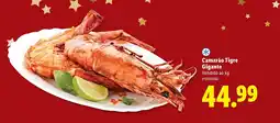 Lidl Camarão Tigre Gigante promoção