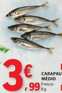 E.Leclerc Carapau médio fresco promoção