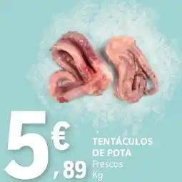E.Leclerc Tentáculos de pota frescos promoção
