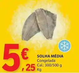 E.Leclerc Solha média congelada promoção