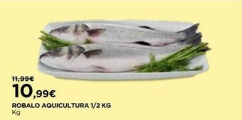 Robalo