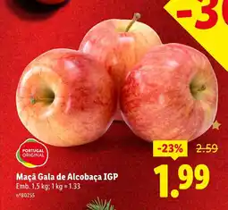 Lidl Maçã Gala de Alcobaça IGP promoção