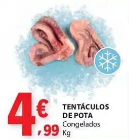 E.Leclerc Tentáculos de pota congelados promoção