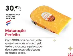 Continente Queijo gouda 1000 dias landana promoção
