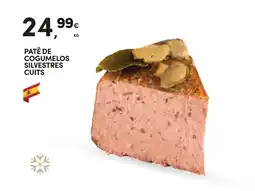 Continente Patê de cogumelos silvestres promoção