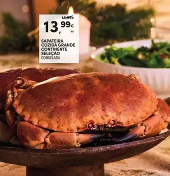 Continente Sapateira cozida grande continente seleção promoção