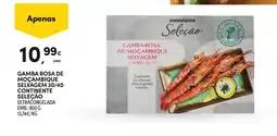 Continente Gamba rosa de moçambique selvagem 30/40 continente seleção promoção