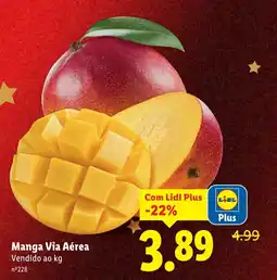 Lidl Manga Via Aérea promoção