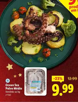 Lidl Ocean Sea Polvo Médio promoção