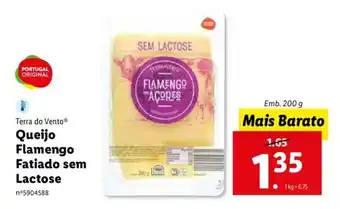 Lidl Terra do Vento Queijo Flamengo Fatiado sem Lactose 200g promoção