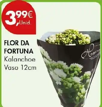 Flor da fortuna