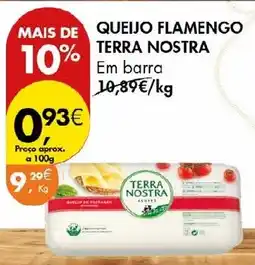 Pingo Doce Queijo flamengo terra nostra promoção