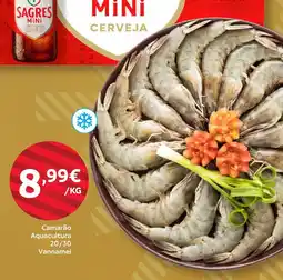 Amanhecer Camarão Aquacultura 20/30 Vannamei promoção