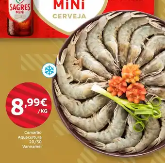 Camarão Aquacultura 20/30 Vannamei