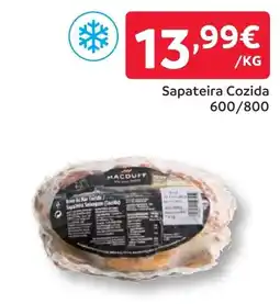Amanhecer Sapateira Cozida 600/800 promoção