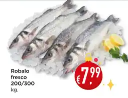 Bolama Robalo fresco 200/300 promoção